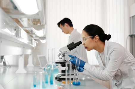 Progress offers tailor-made support for non-clinical studies